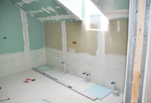 Grand Forks, ND Mold Removal Company