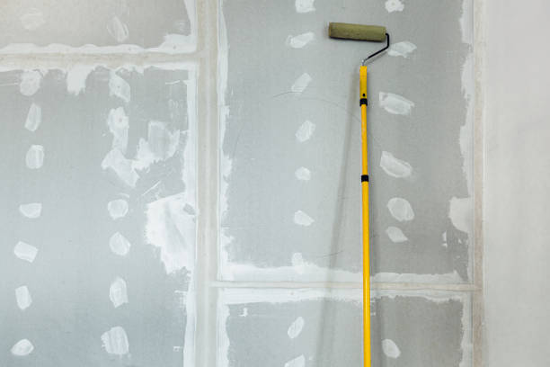 Best Crawl Space Mold Remediation  in Gra Forks, ND