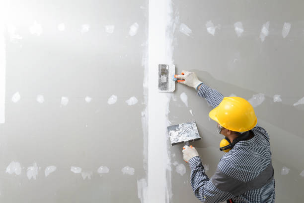 Best Environmental Consulting for Mold Prevention  in Gra Forks, ND