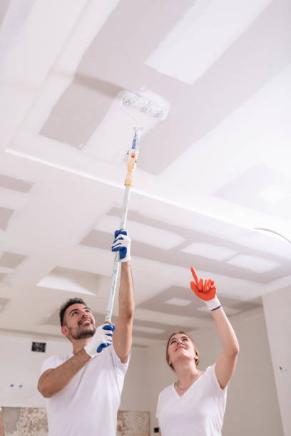 Best Indoor Air Quality Assessment  in Gra Forks, ND